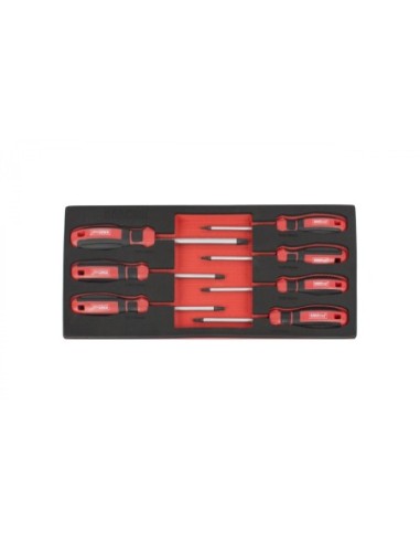 MÓDULO DESTORNILLADORES TORX T10-T40 07 PZS