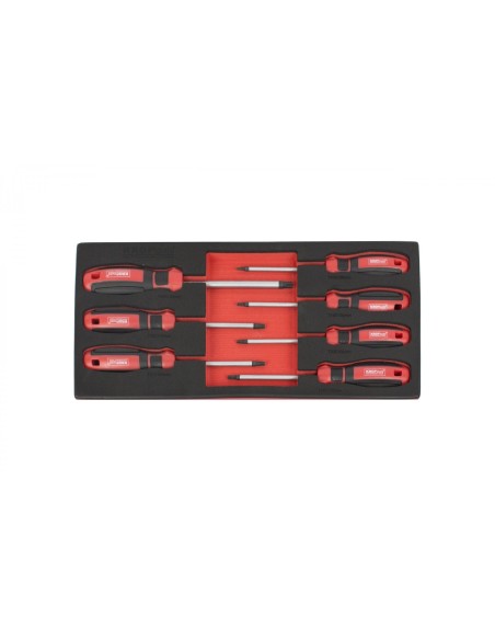 MÓDULO DESTORNILLADORES TORX T10-T40 07 PZS