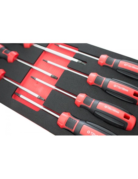 MÓDULO DESTORNILLADORES TORX T10-T40 07 PZS