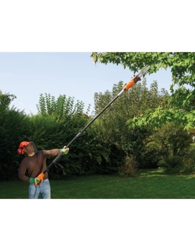PS7525-QS - MotoSierra de pértiga 800W 25cm