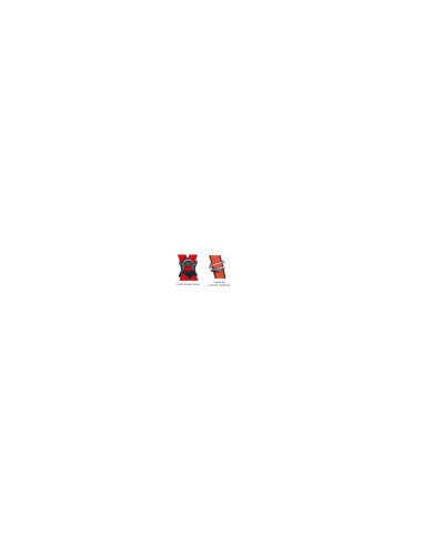 A30 Harness