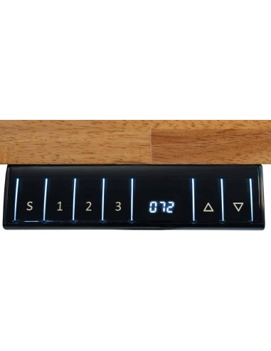 WB210ELIFT_230V BANCO DE MADERA ELÉCTRICO CON ALTURA AJUSTABLE
