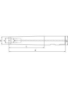 Alargadera para Fresa atornillable DIN69871AD/BD25x100mm M12 FORTIS 2