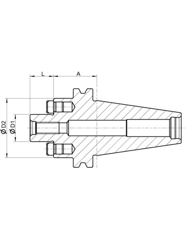 Cono portafresas DIN69871AD SK50-22 FORMATGT