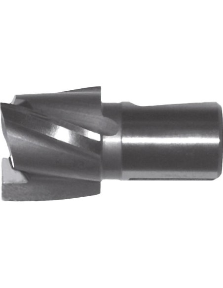 Avellanador de espiga HSStam.2 55mm GFS