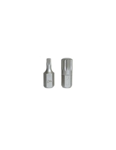 PUNTA 10MM XZN M10 CORTA