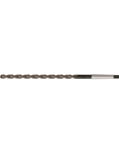 Broca espiral extralarga DIN1870 HSS tipo TF vástago CM 25,0x555mm