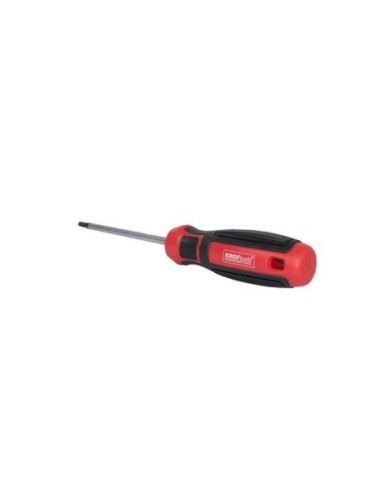 DESTORNILLADORES TORX 25 -100MM
