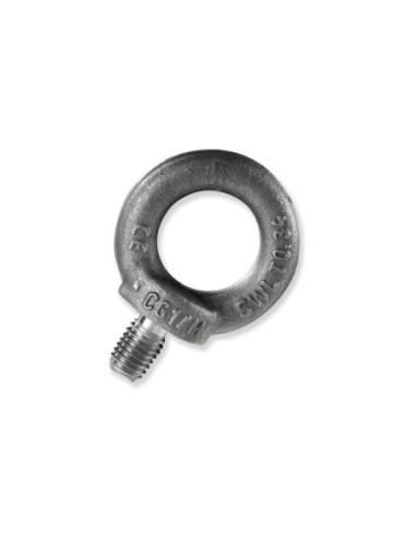 Cancamo macho DIN 580 | 79-484 ANI-M-M10