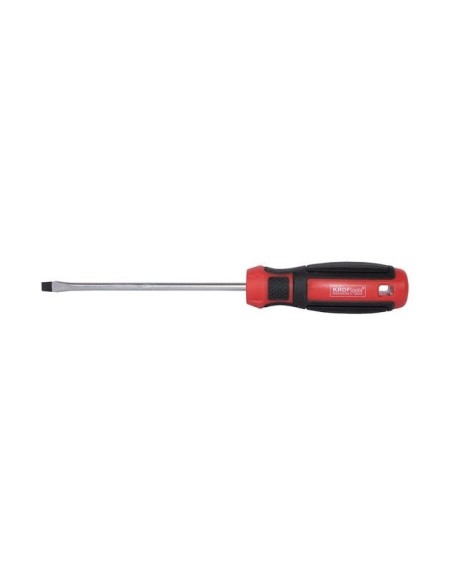 DESTORNILLADORES PLANOS 1.0X5.5-150MM