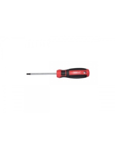 DESTORNILLADORES TORX 9 -75MM