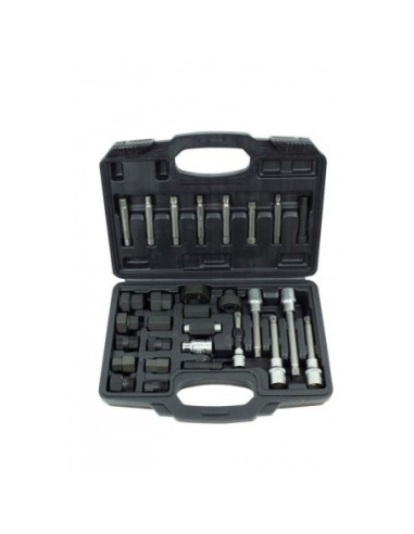 JUEGO POLEAS ALTERNADOR 30pcs