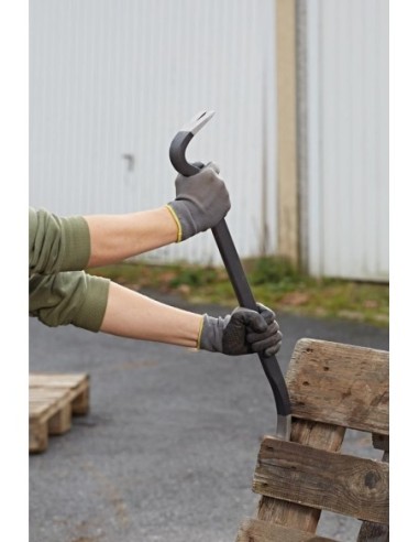 Clavera 320mm oval FORTIS