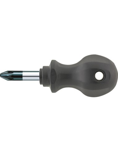 Destornillador PZ01x mm