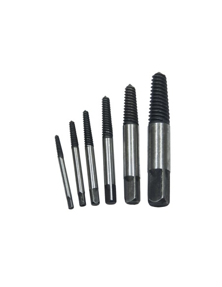 EXTRACTOR TORNILLOS M3-M25 6PZS