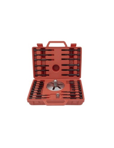 EXTRACTOR VOLANTES