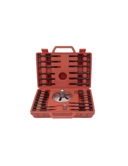 EXTRACTOR VOLANTES