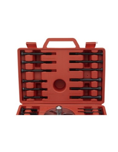 EXTRACTOR VOLANTES