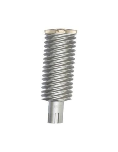 DT60842-QZ - Broca SDS-Max XLR 38x570mm 4 cortes