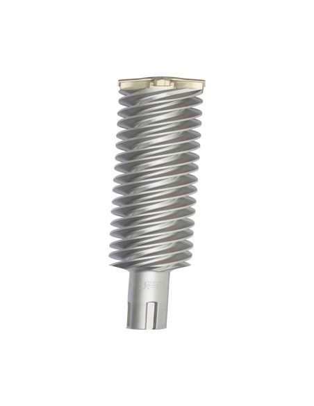 DT60842-QZ - Broca SDS-Max XLR 38x570mm 4 cortes