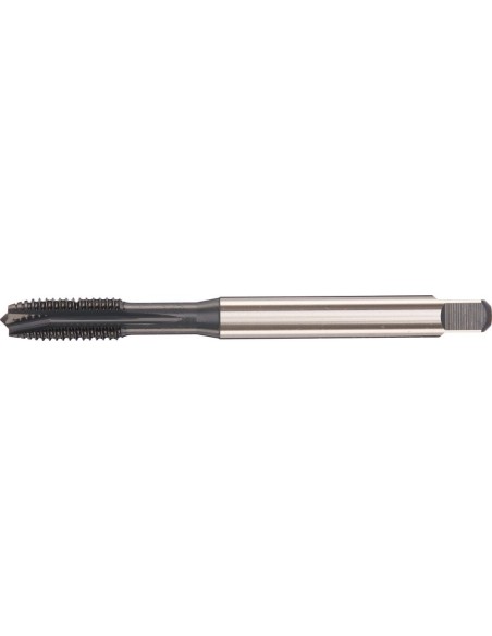 Machos roscar a máquina DIN371 HSSE vaporizada tipo INOX forma B M5 FORTIS