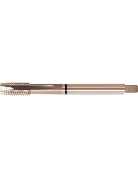 Macho roscar a máquina DIN376 HSSE tipo W forma B M14