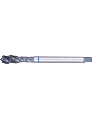 Macho roscar a máquina DIN374 HSSE tipo INOX 6H forma B M16x1 FORMAT GT