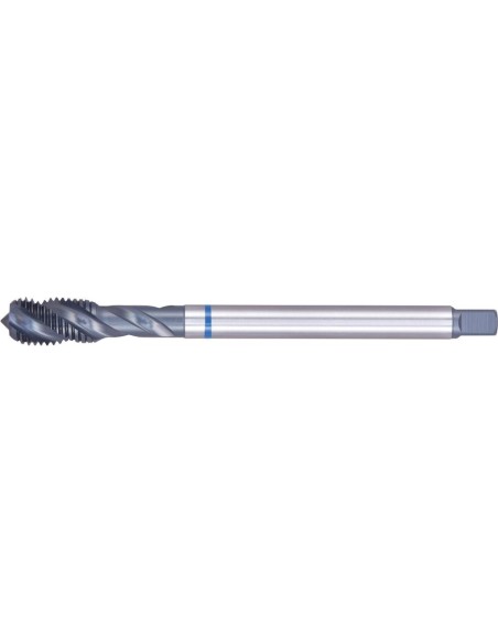 Macho roscar a máquina DIN374 HSSE tipo INOX 6H forma B M22x1,5 FORMAT GT