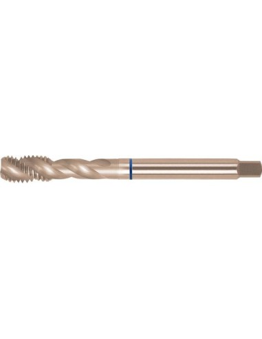 Machos roscar a máquina DIN376 HSSE tipo INOX forma C M14