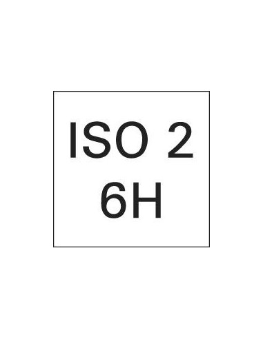 Macho roscar a máquina DIN376 HSSE tipo W forma C M12