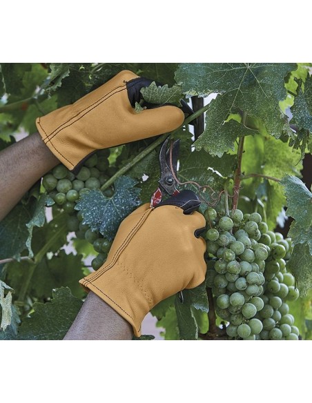 Guante Juba - H210M