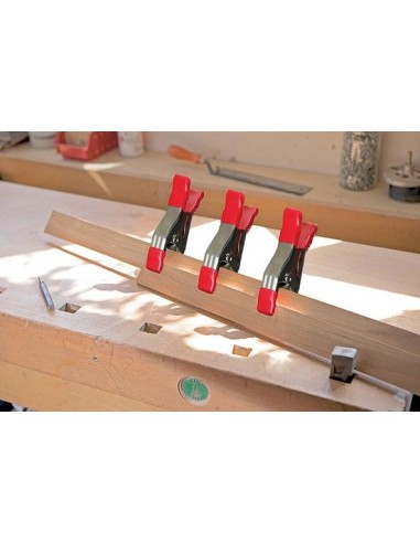 Pinzas de resorte XM5EU Anc.: 51, Ext.: 57mm BESSEY