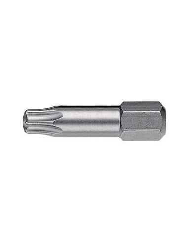punta torsión 1/4 DIN3126C6,3 T7x25mm
