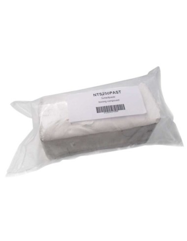 NTS250PAST Holzmann