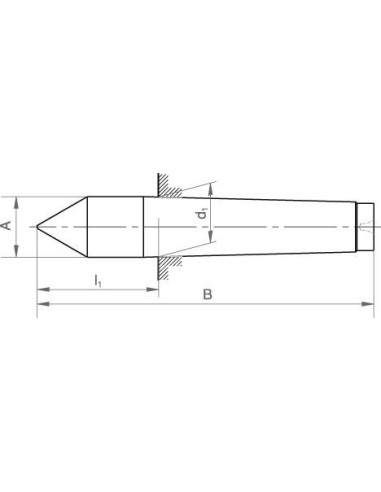 Punto centrado fijo DIN806 CM 2 WS