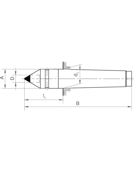 Punto centrado fijo DIN806 CM 4 inserto MD