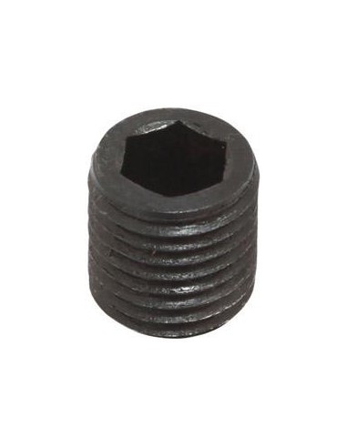 Tornillo hexágono inter. para tam.8 FORTIS