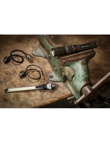 Workers Friend 5 piezas Ledlenser