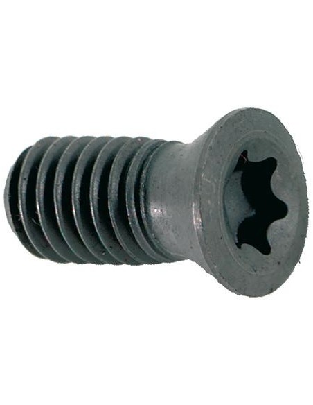 Tornillo de apriete M2,5x6 T08