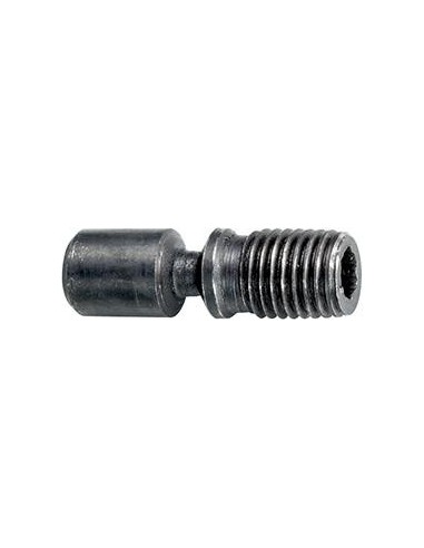 Tornillo de apriete para S32S M8x21 T15