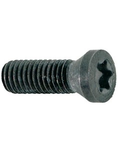Tornillo de apriete M5 x 12 T20