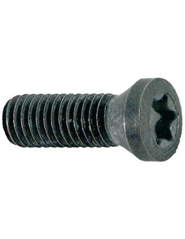 Tornillo de apriete M5 x 12 T20