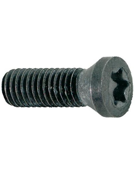 Tornillo de apriete M5 x 12 T20
