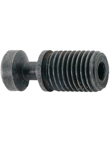 Tornillo de apriete M6x16,7 T08