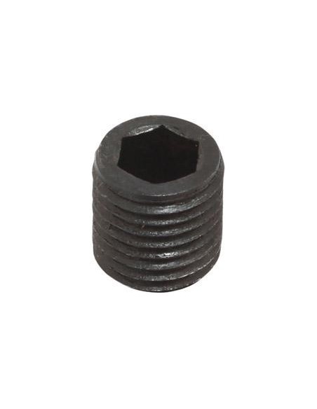 Tornillo hexágono inter. para tam.20 FORTIS