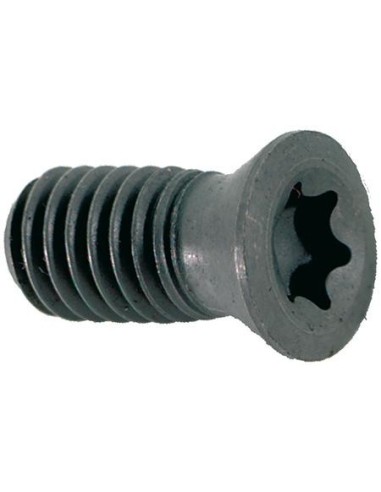 tornillo p/ WCHX 10