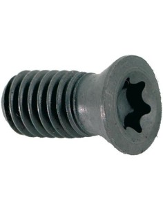 Tornillo de apriete M2,5x5 T08