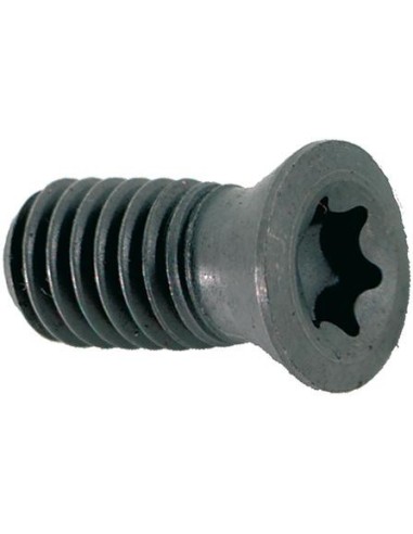 Tornillo de apriete M2,5x5 T08