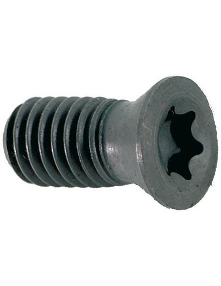 tornillo p/ WCHX 13