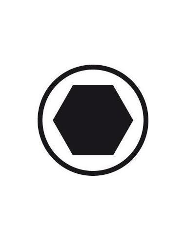 Varilla intercambiable Hembra hex 2,5x170mm PB Swiss Tools